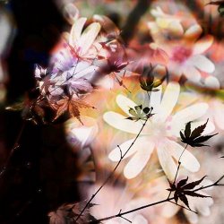 Страна: UK Label: Virtual World Records Жанр: