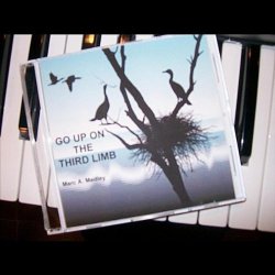 Страна: USA Label: Marc A. Medley Жанр: Jazz,