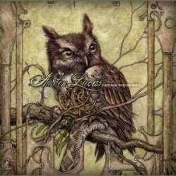 Label: Last Chance Records  Страна: USA  Жанр: