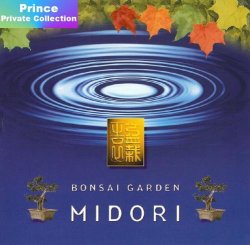 Жанр: New Age, Meditative Год выпуска: 2000