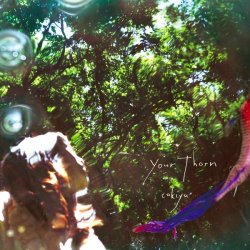 Cokiyu - Your Thorn (2011)