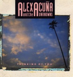 Label:  JVC Жанр:  Fusion, Latin Jazz Год