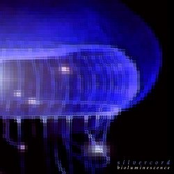 Страна: USA Label: Earth Mantra Жанр: Ambient Год