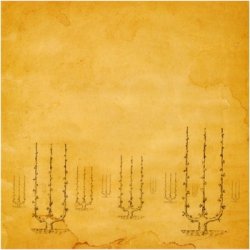 All India Radio - Discography (2001-2011)