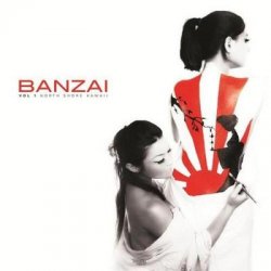 Жанр: Downtempo, Chillout, Lounge Год выпуска: