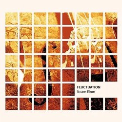 Noam Elron - Fluctuation (2011)