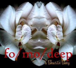 Label: RHMedia LLC - fo/mo/deep  Жанр: Jazz-Funk 