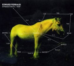 Edward Perraud - Synaesthetic Trip (2012)