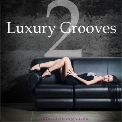 Luxury Grooves Vol.2: Selected Deep Vibes (2012)