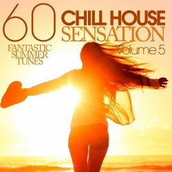 Chill House Sensation Vol.5: 60 Fantastic Summer Tunes (2012)