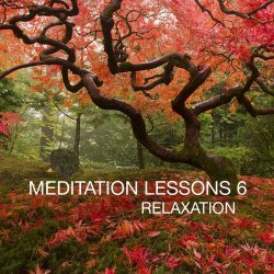 VA - Meditation Lesson Vol.6 (2012)