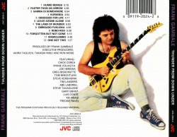 Frank Gambale - Thunder From Down Under (1990)