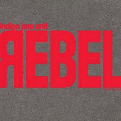 Label: Basis Records  	Жанр: Jazz, Jam Band  