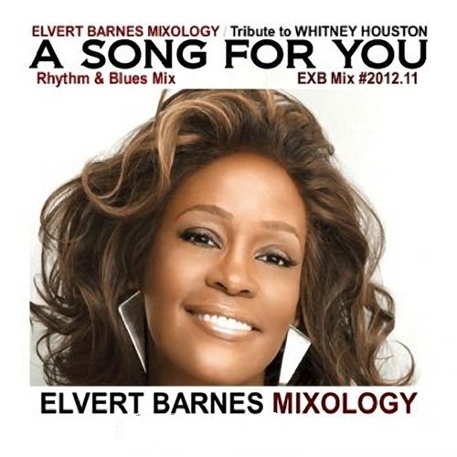 Elvert Barnes Mixology: A Song For You (2012)