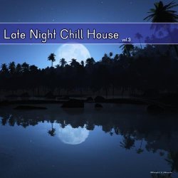 VA - Late Night Chill House Vol 3 (2013)