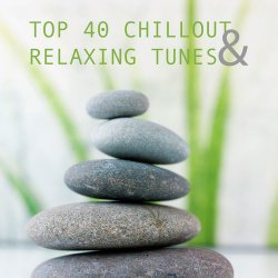 VA - Top 40 Chillout and Relaxing Tunes (2013)