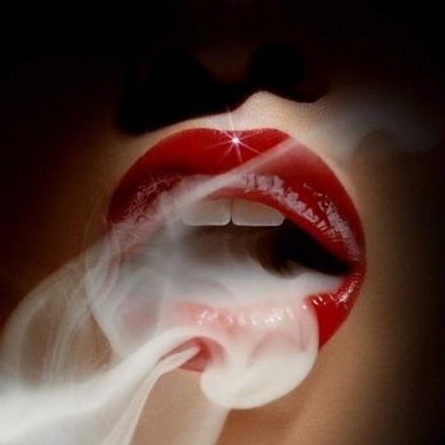 Don Mario - Salsa Sensual Mix (1er Asalto) (2013) Don Mario - Salsa Sensual Mix (1er Asalto) (2013)