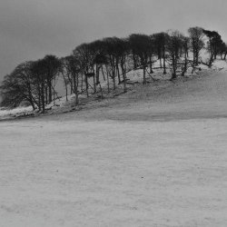 Жанр: Post-Rock, Ambient, Electronic Год выпуска: