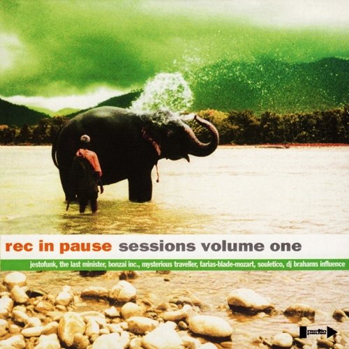 VA - Rec In Pause Sessions Vol. 1 (2013)