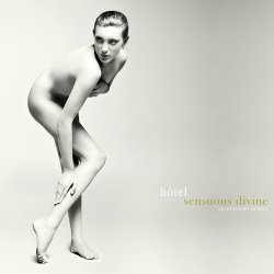 Label: Musique Sensuelle Жанр: Downtempo,