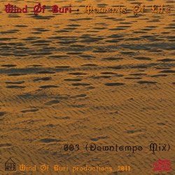 Label: New Age Жанр: Downtempo, Chillout, Lounge